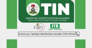 How to Check TIN Number Online