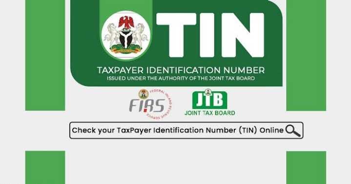 How to check TIN number online